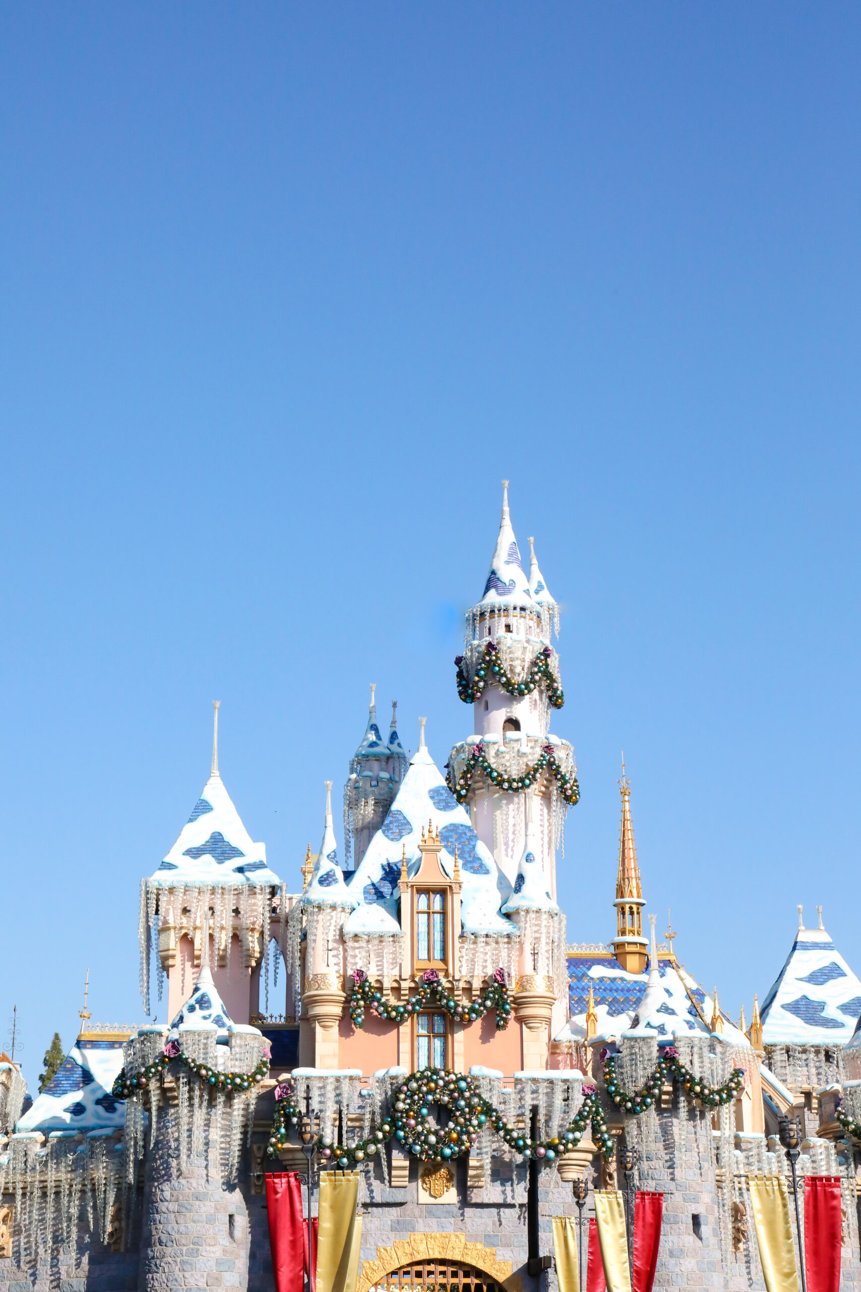 Disneyland birthday